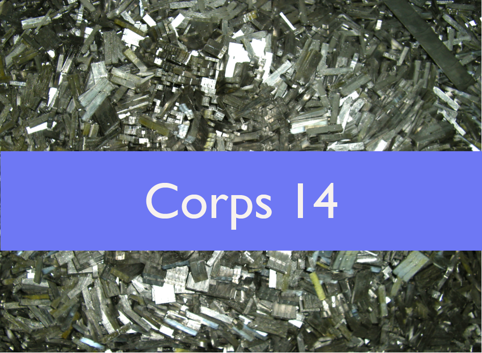 Corps 14